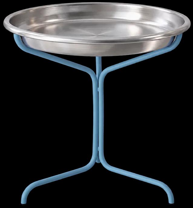 frisbee2 copy.webp
